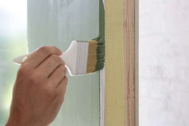 Best Black Mold Removal  in Thomasboro, IL