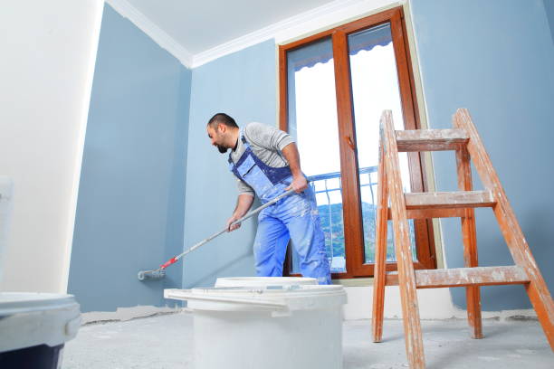 Best Mold Documentation for Insurance Claims  in Thomasboro, IL