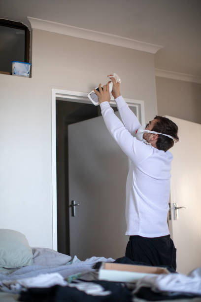 Trusted Thomasboro, IL Mold Removal Experts