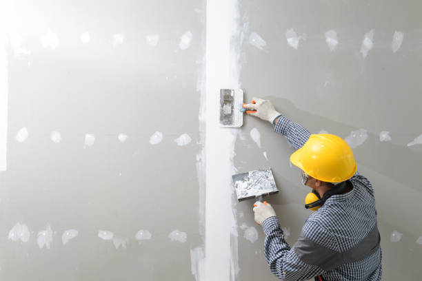 Best Industrial Mold Remediation  in Thomasboro, IL