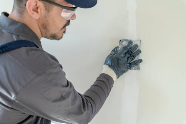 Best Indoor Air Quality Assessment  in Thomasboro, IL
