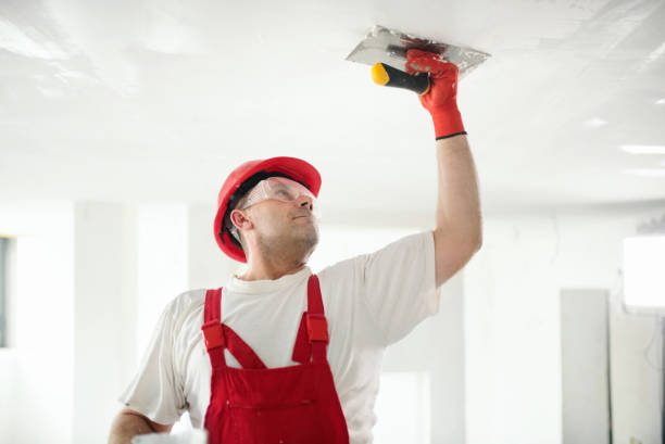 Best Comprehensive Air Testing for Mold Contaminants  in Thomasboro, IL