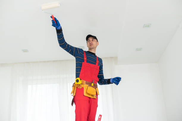 Best Commercial Mold Inspection  in Thomasboro, IL