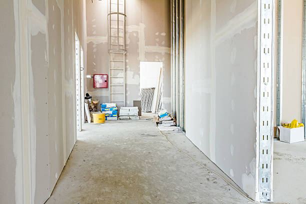 Best Air Quality Testing for Mold Spores  in Thomasboro, IL