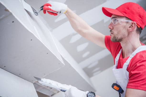 Best Mold Documentation for Insurance Claims  in Thomasboro, IL
